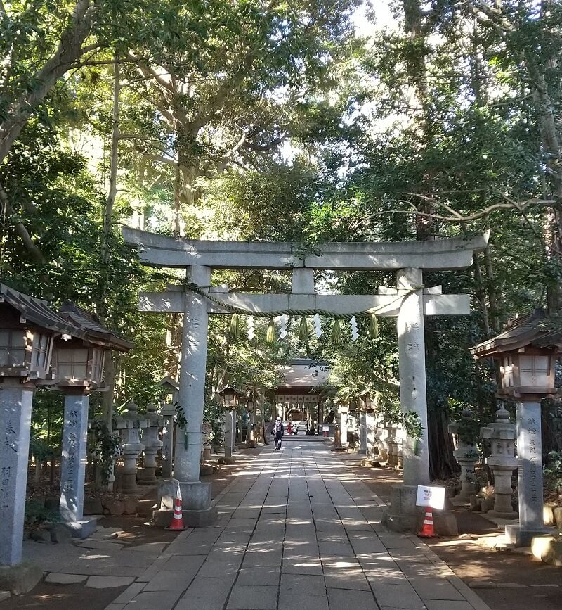 流山の諏訪神社は初詣にもおすすめ！駐車場もあるし、雰囲気もいいよ