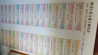 流山に京都の龍安寺？いえ、一茶双樹記念館ですから！