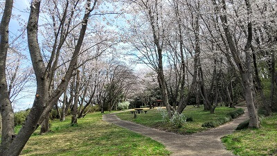【愛宕ふれあいの森】ほっと一息つけるピクニックスポット(桜もキレイ)