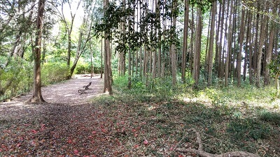 【愛宕ふれあいの森】ほっと一息つけるピクニックスポット(桜もキレイ)