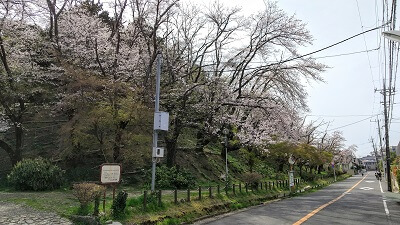 流山駅・平和台駅周辺のおすすめ桜スポット