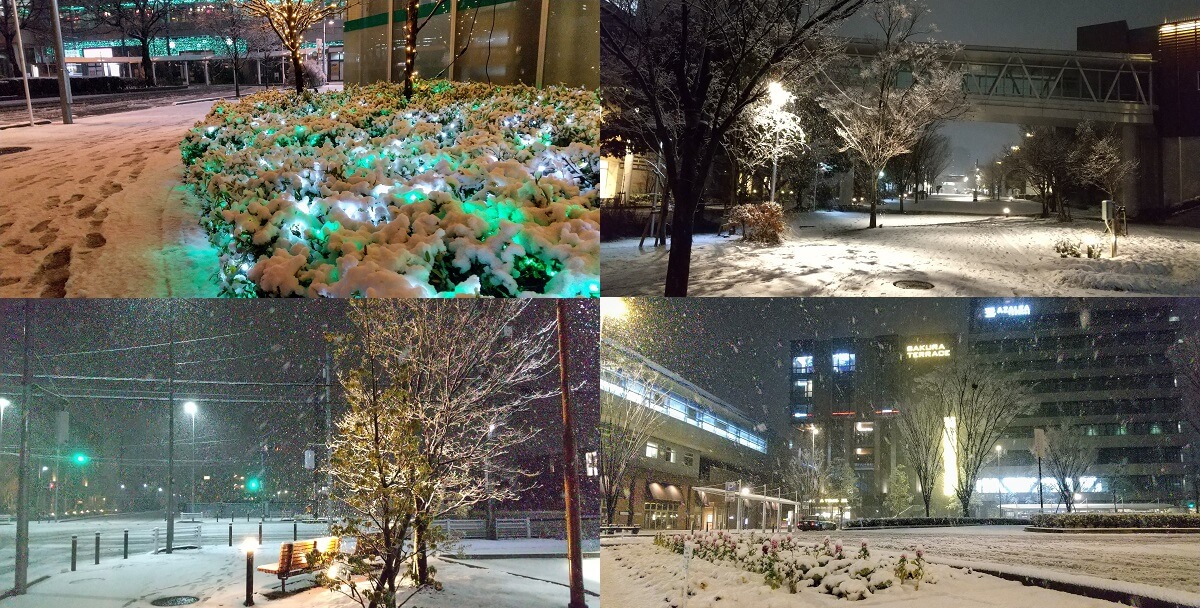 【夜の雪化粧】流山おおたかの森駅の周辺の写真集