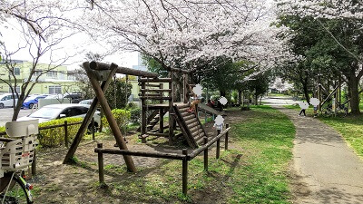 利根運河の桜を散策(眺望の丘・西深井休憩園地・におどり公園)