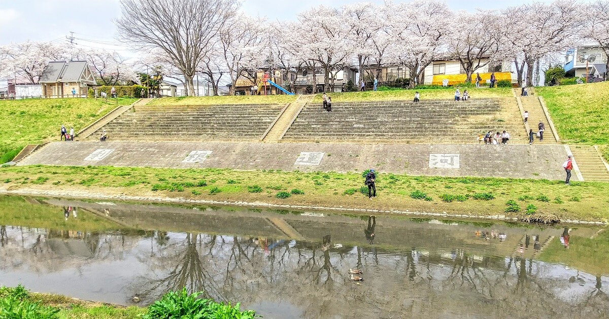 利根運河の桜を散策(眺望の丘・におどり公園・運河河口公園)