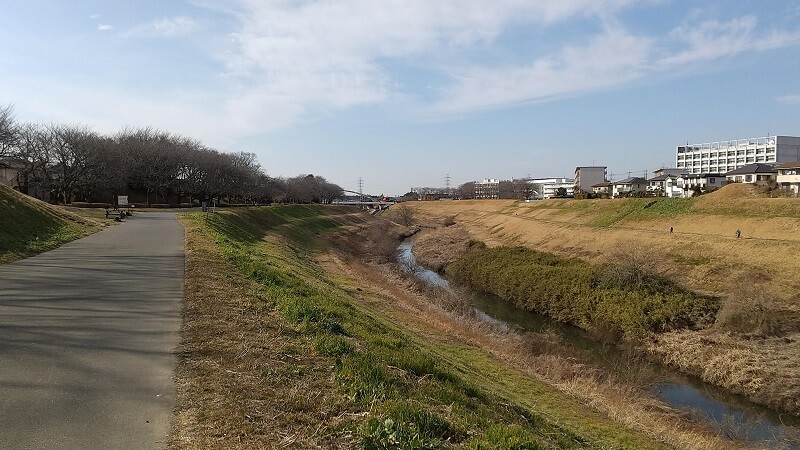 利根運河沿い・運河水辺公園をお散歩♪桜の季節は最高な気がする