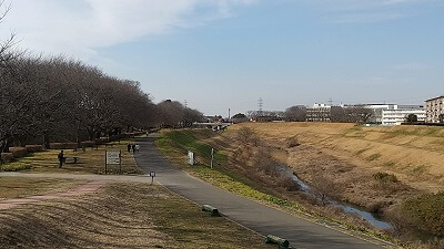 利根運河沿い・運河水辺公園をお散歩♪桜の季節は最高な気がする